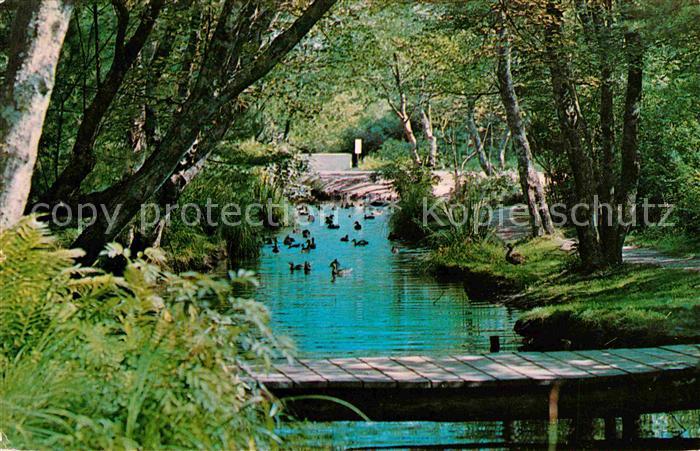 East Hampton New York Nature Trail