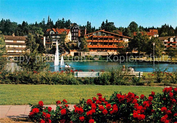 Hahnenklee-Bockswiese Harz Kurpark Kurparksee und Seerose