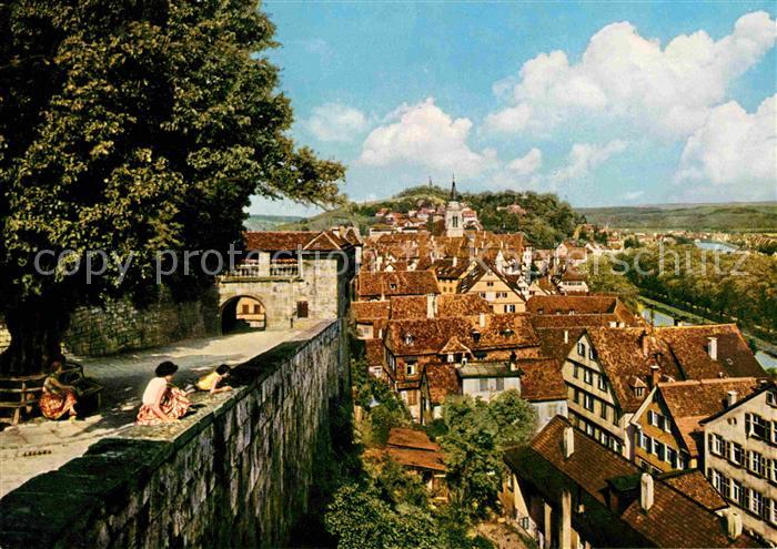 TueBINGEN BW Blick von der Schlosslinde