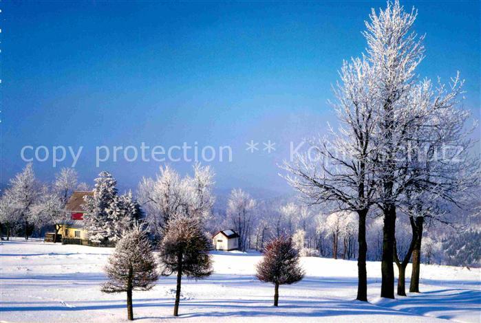 Geising Erzgebirge Gottgetreu