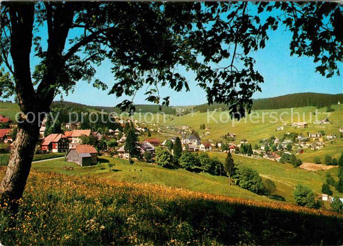 Todtnauberg Panorama