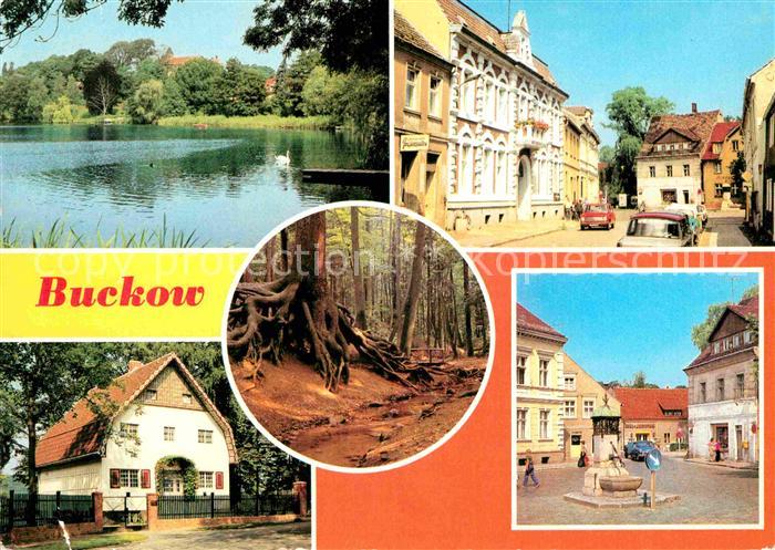 Buckow Maerkische Schweiz Buckow See Clara Zetkin Strasse Wurzelfichte Brecht We