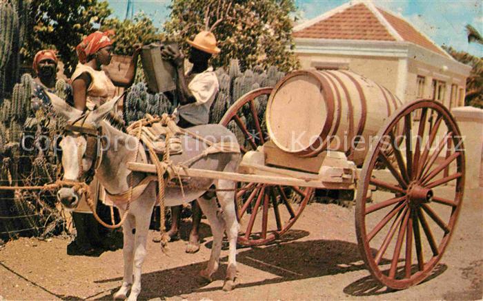 Esel Tiere Water Vendor Curacao