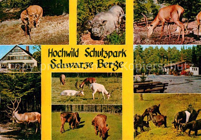 Tiere Hochwild-Schutzpark Schwarze Berge Vahrendorf Hirsch Schweine