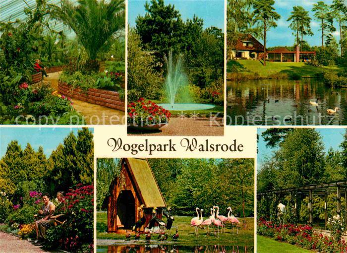 Walsrode Lueneburger Heide Vogelpark Flamingos