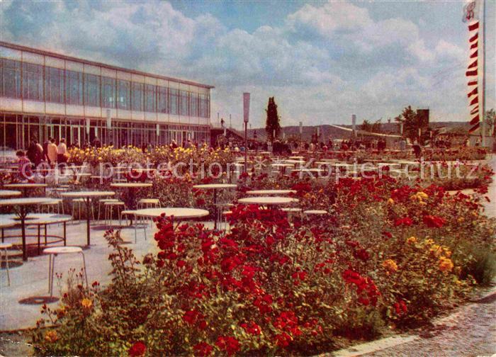 Gartenbauaustellung Erfurt Rosen Hauptgaststaette