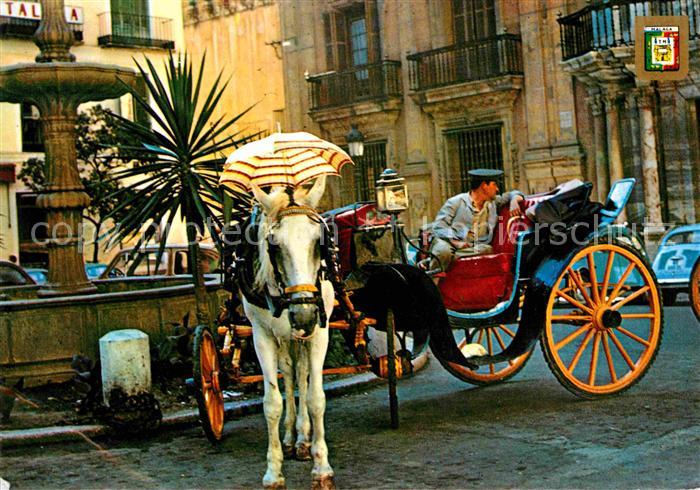 Pferdekutschen Malaga Costa del Sol lPaza del Obispo