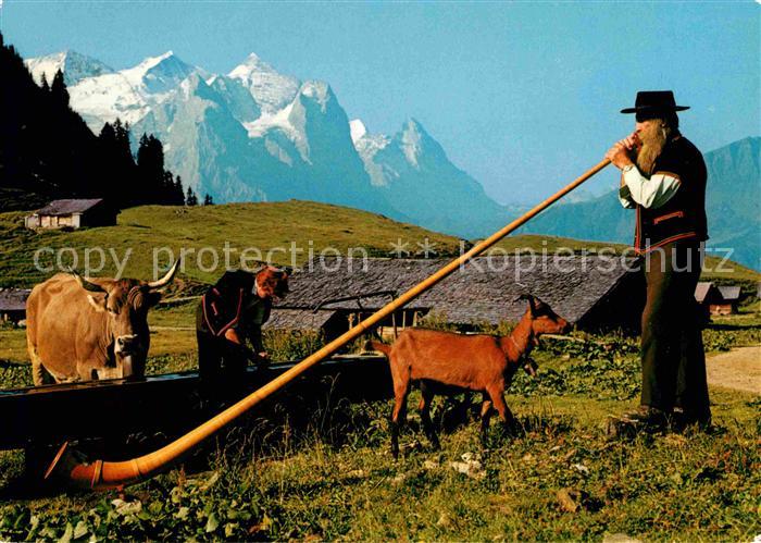 Alphorn Alphornblaeser Wetterhorn Eiger Kuh Ziege
