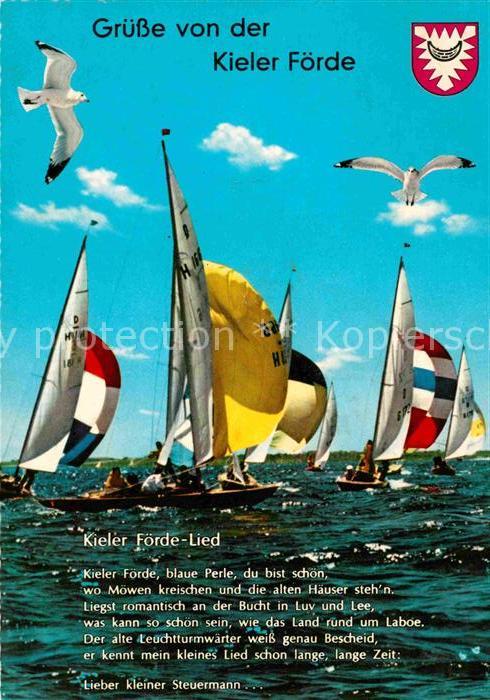 Segelboote Kieler Foerde Lied Moewen