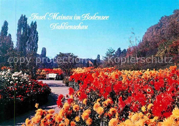 Insel Mainau Dahlienschau Suedgarten