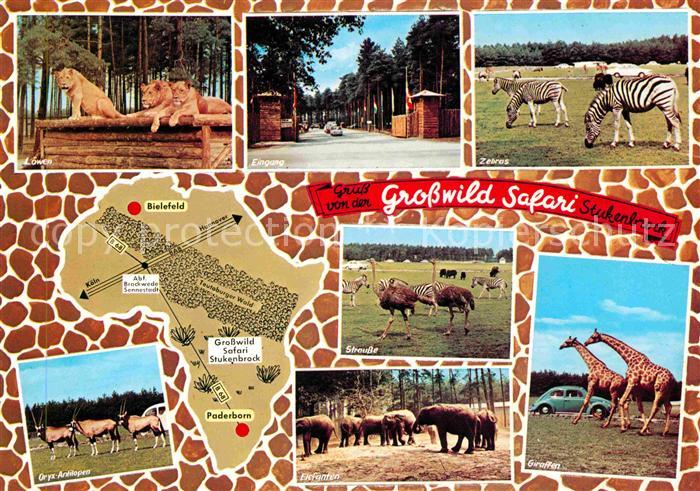 Tiere Grosswild-Safari Stukenbrock Giraffe Strauss Zebra Oryxantilopen
