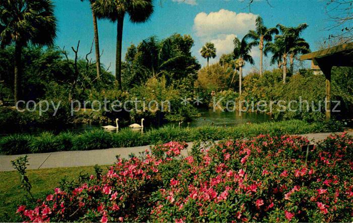 Tampa Florida Busch-Gardens