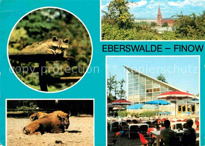 Eberswalde Finow Tierpark