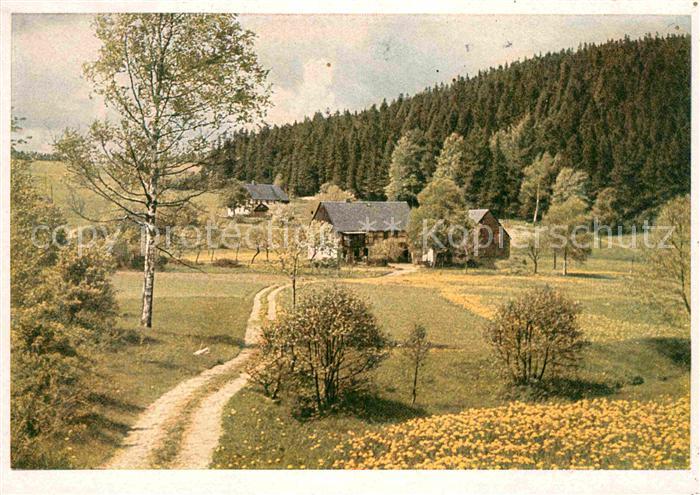 Altenberg Erzgebirge Gehoefte in Hirschsprung