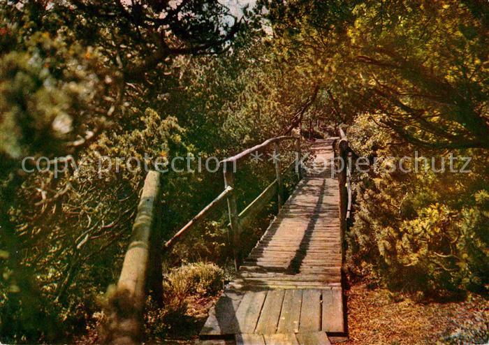 Georgenfeld Hochmoor