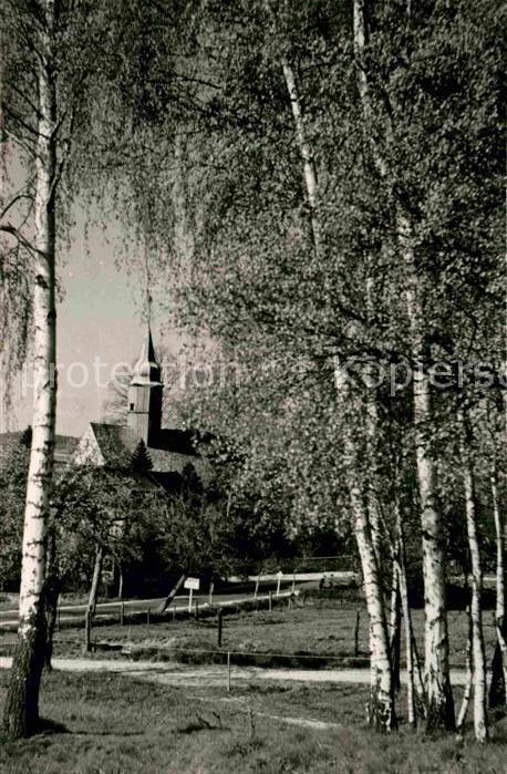 Ruppersdorf Oberlausitz Blick zur Kirche Birken
