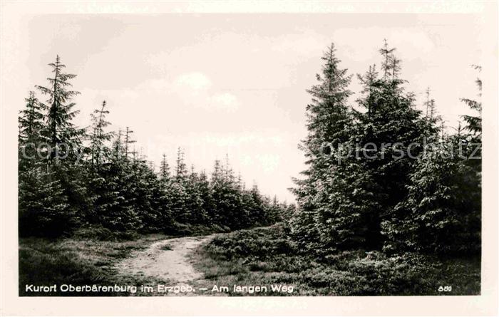 Oberbaerenburg Baerenburg Am langen Weg Waldpartie Kurort