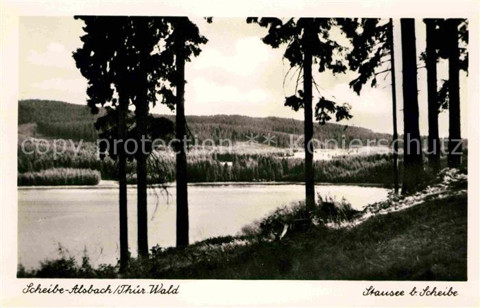 Scheibe-Alsbach Waldpartie am Stausee