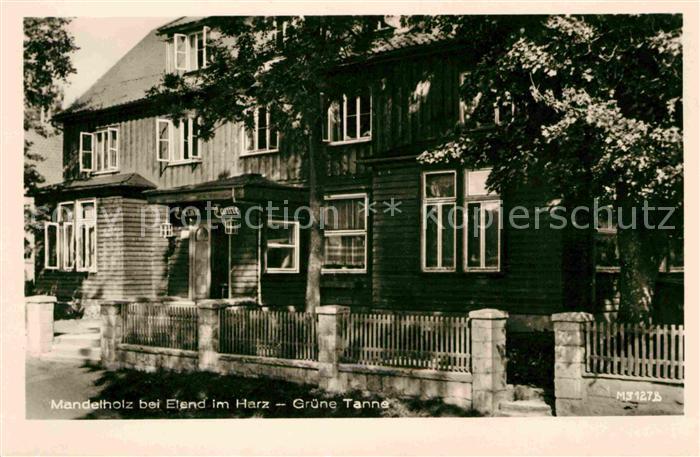 Mandelholz Harz Hotel Restaurant Gruene Tanne