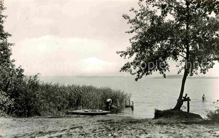 Zaue Uferpartie am See Zeltplatz