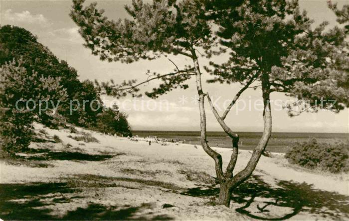 Baabe Ostseebad Ruegen Blick zum Strand
