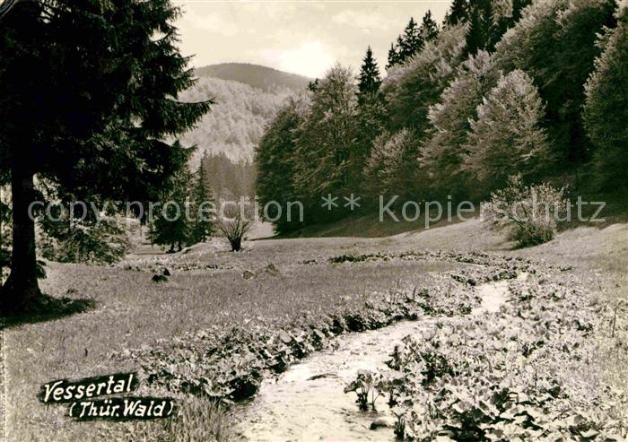 Suhl Thueringer Wald Partie im Vessertal Biosphaerenreservat