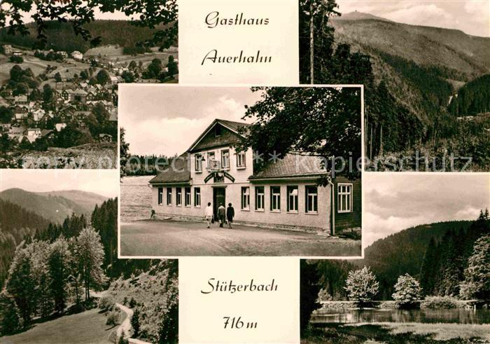 Stuetzerbach Gasthaus Auerhahn Waldpartie Landschaftspanorama