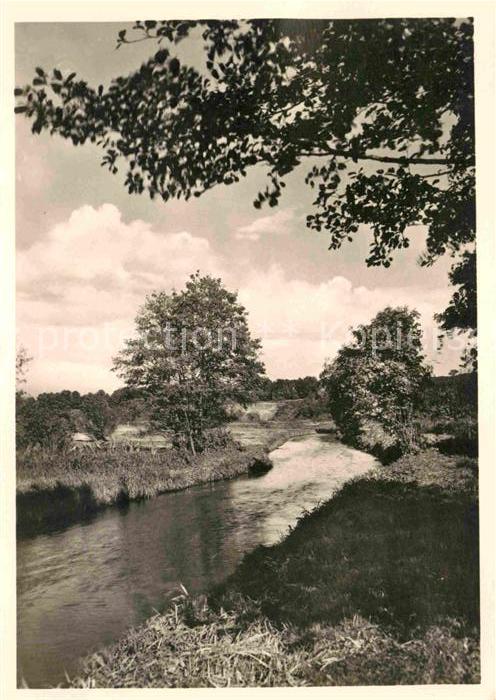 Falkenhain Altenberg Erzgebirge Uferpartie am Fluss