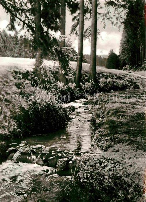 Tambach-Dietharz Partie an der Apfelstaedt Wald