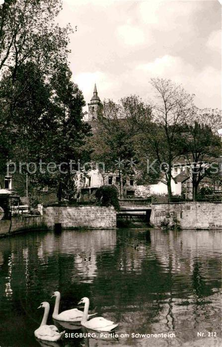 Siegburg Partie am Schwanenteich
