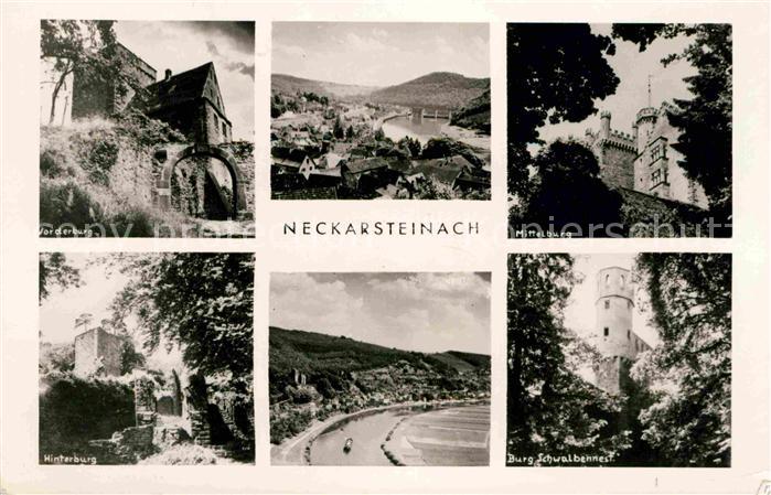 Neckarsteinach Burg Schwalbennest Neckartal