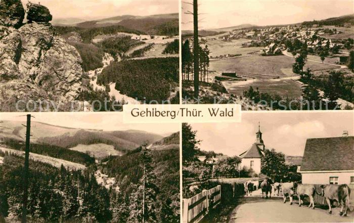 Gehlberg Panorama Thueringer Wald Kuhaustrieb