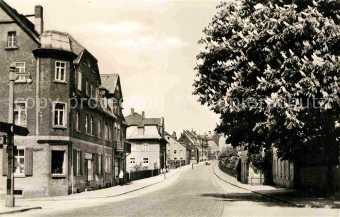 Brand-Erbisdorf Hauptstrasse Kastanienbaum