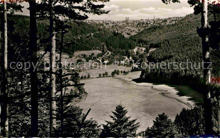 FREUDENSTADT BW Panorama Hoehenluftkurort Schwarzwald