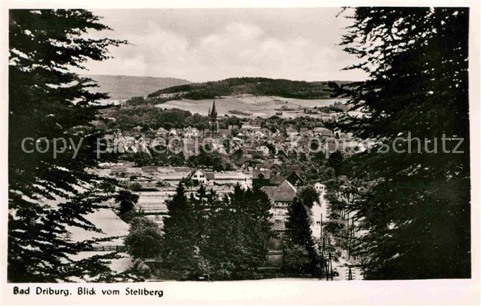 Bad Driburg Durchblick vom Stellberg