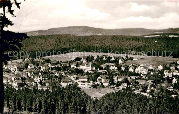 Hahnenklee-Bockswiese Harz Panorama