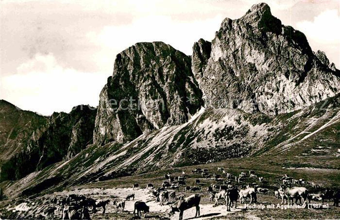 Pfronten Ostallgaeu Bayern Hochalp mit Aggenstein Almvieh Allgaeuer Alpen