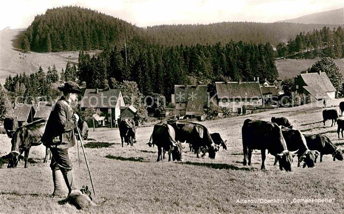 Altenau Harz ---
