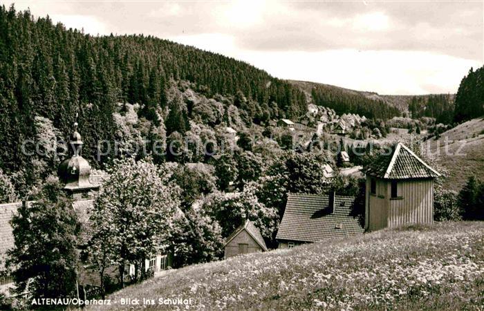 Altenau Harz Blick ins Schultal