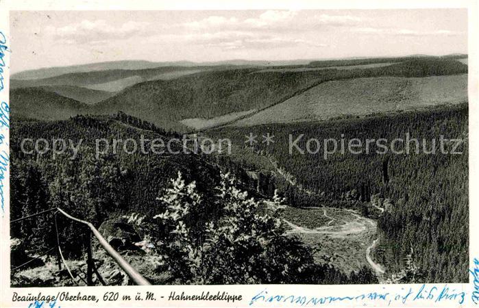 Braunlage Harz Panorama Hahnenkleeklippe