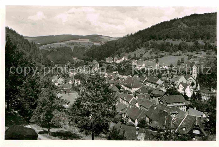 Triberg Schwarzwald Blick vom Panoramweg