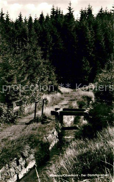 Altenau Harz Dammgraben im Wald