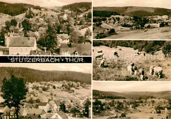 Stuetzerbach Teilansichten Landschaftspanorama Viehweide Kuehe