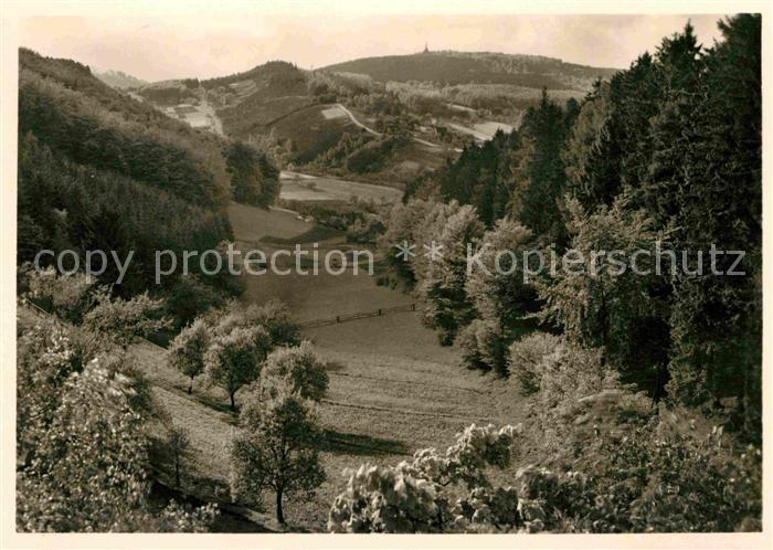 Bad Meinberg Blick vom Hangstein Teutoburger Wald Lippische Schweiz