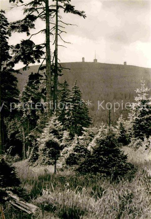 Wernigerode Harz Blick zum Brocken