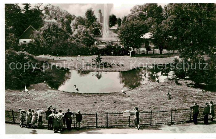 Frankfurt Main Zoologischer Garten Blick auf Vogelwiese und grossen Weiher