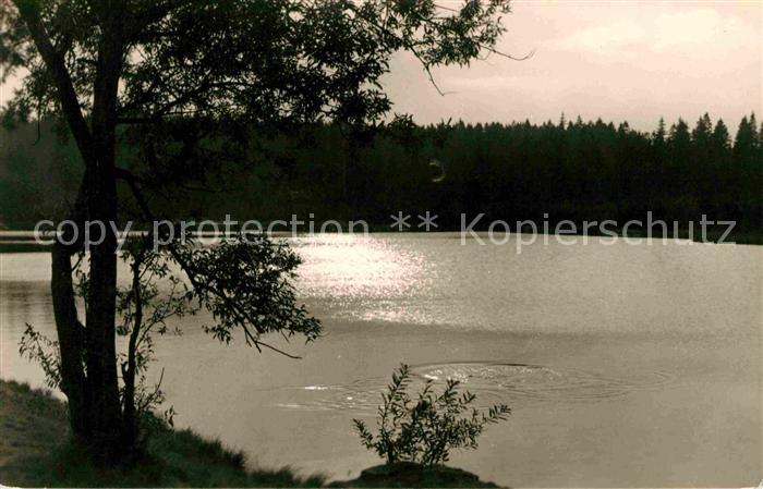 Jaegersgruen Vogtlandsee