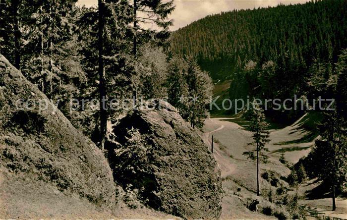 Fehrenbach Thueringer Wald Im Eselsgrund