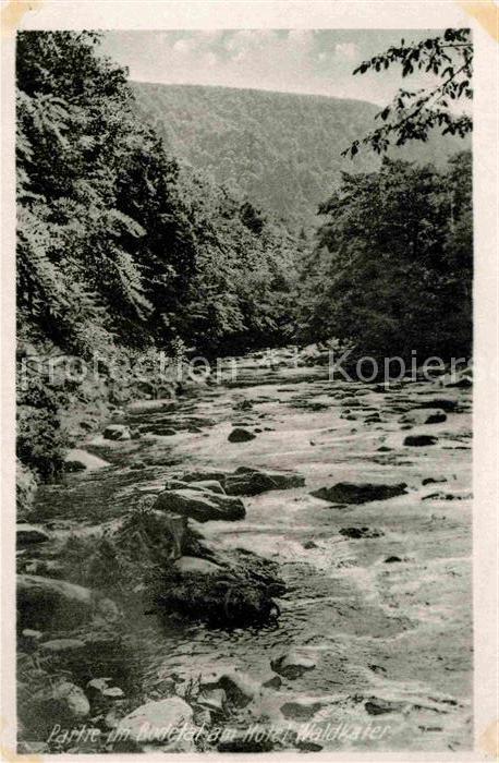 Thale Harz Partie im Bodetal beim Hotel Waldkater