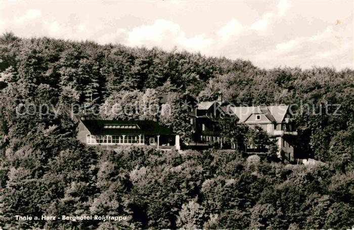 Thale Harz Berghotel Rosstrappe